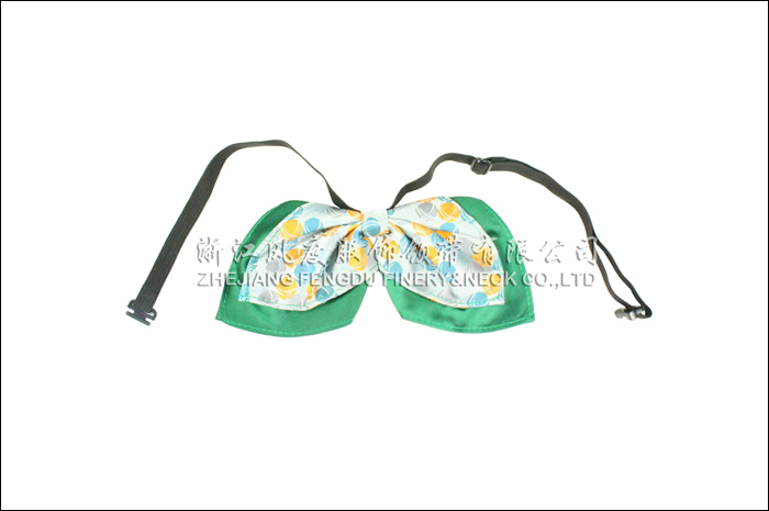 國(guó)家電網(wǎng) 領(lǐng)花